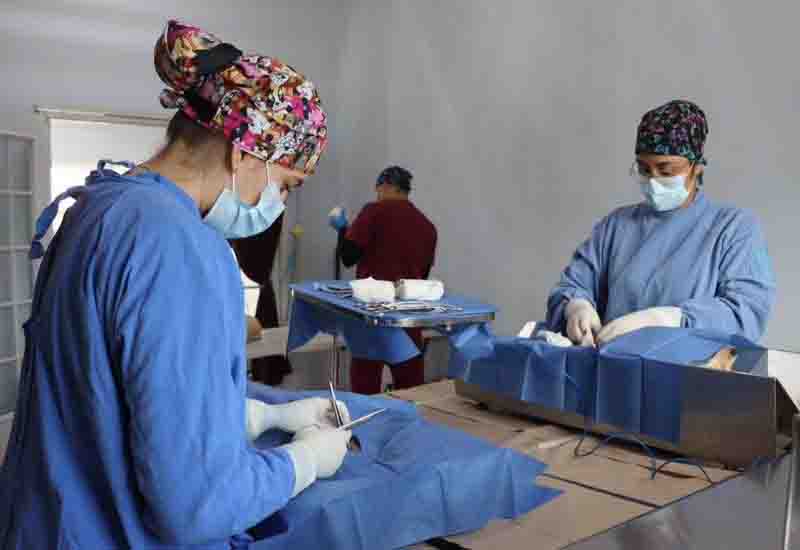 esterilizaciones