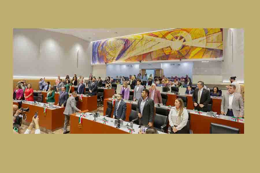 pleno congreso son