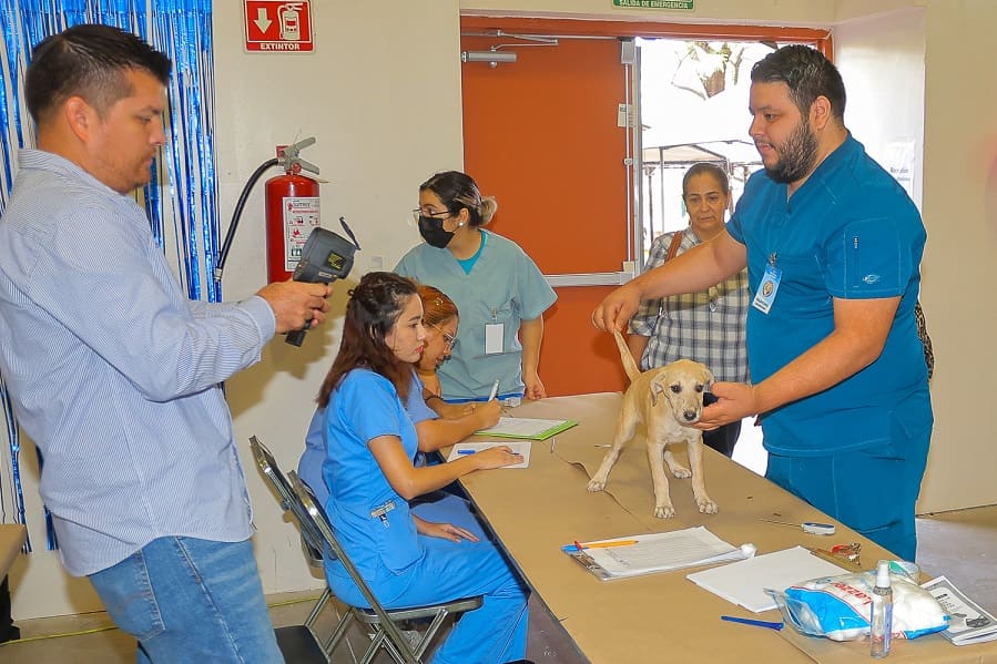 Jornada de Salud Animal Unison-min
