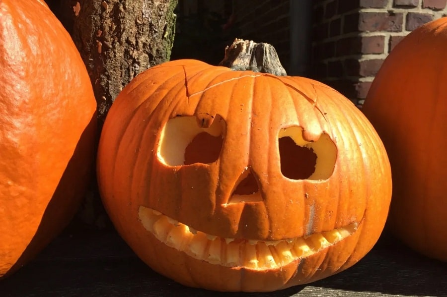 haloween-min