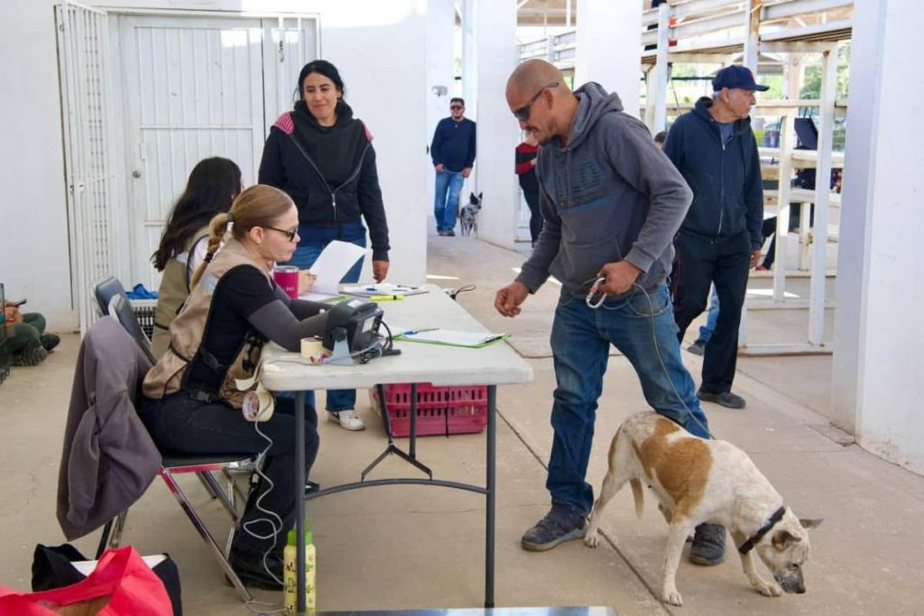 atenciones veterinarias gratuitas-min
