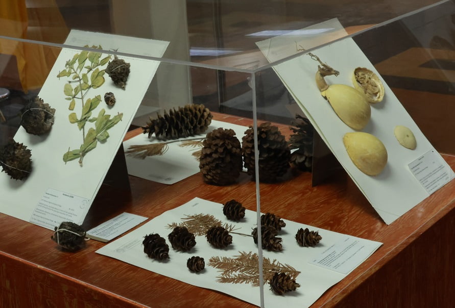 exposición herbolareo en UnISon-min