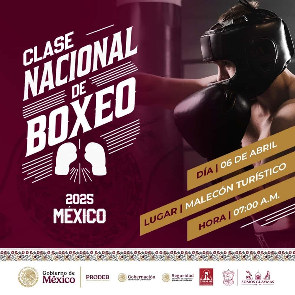 box 2025. jornada nacional-min