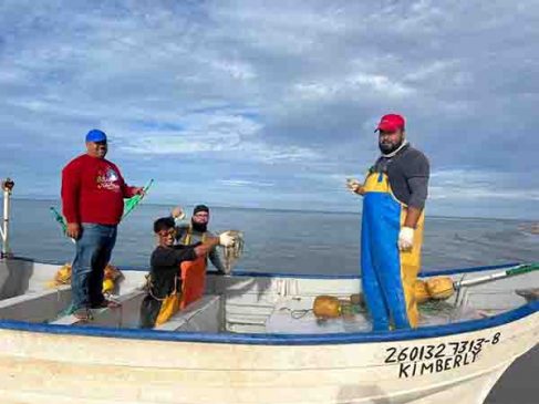 pesca camaron