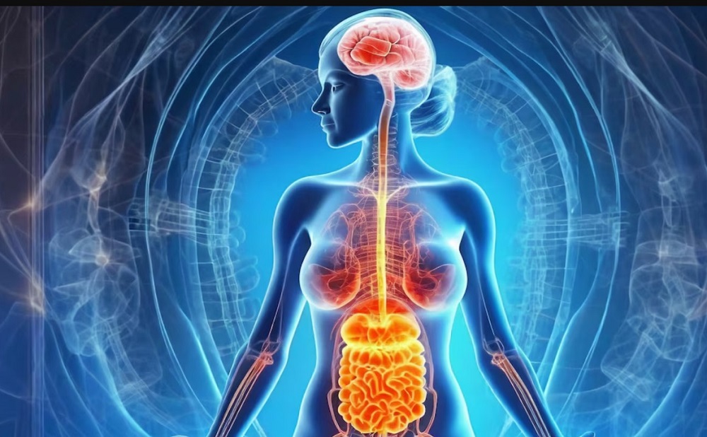 El intestino. Nuestro segundo cerebro