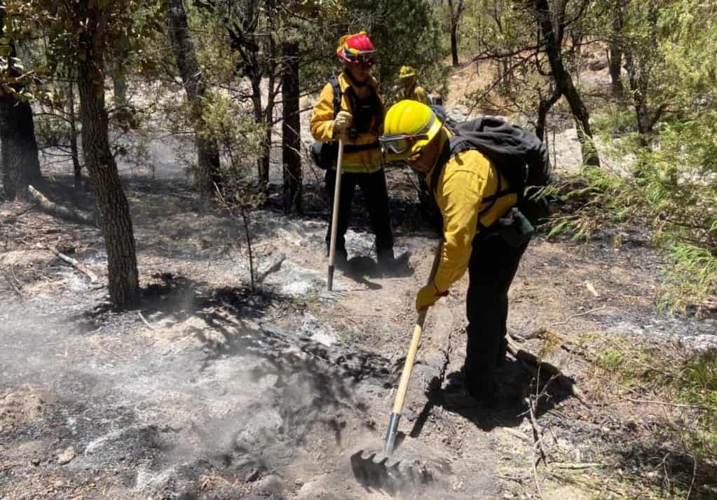 Incendio Forestal en Arizpe-min
