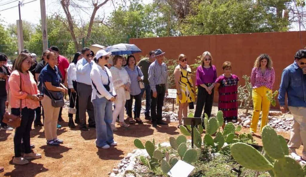 Jardín Etnobotánico Sawali Seewam en Cócorit (3)-min