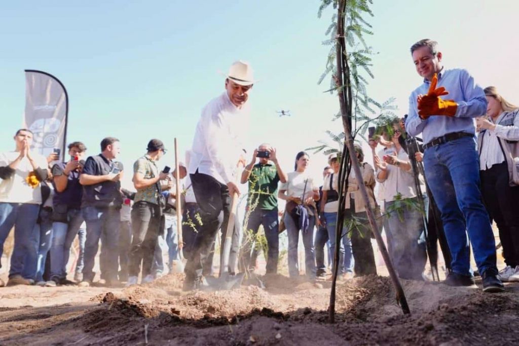 Plantación de arboles en Parque La Sauceda-min