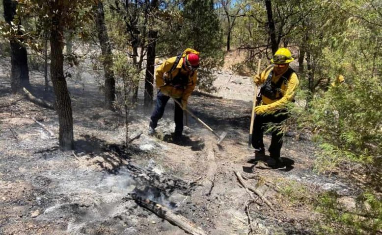 Prevención de incendios-min