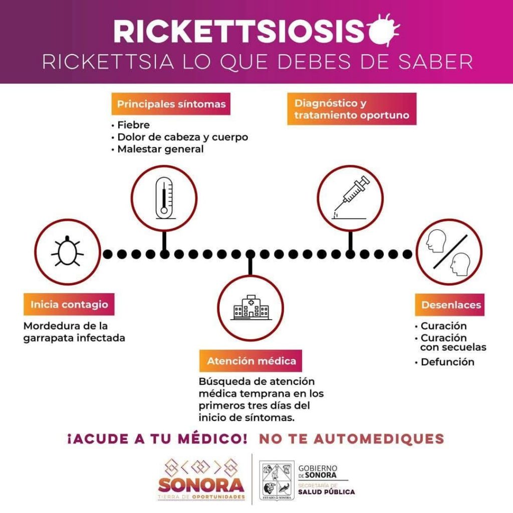 Ricketsia lo que debes saber-min