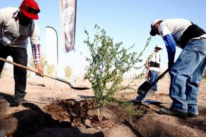 Hermosillo. Mantiene comuna  actividades del Día del Árbol
