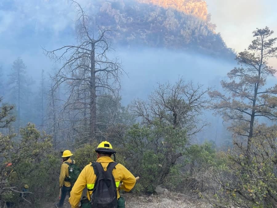 Gonirtno logra importante avance en el control y liquidación del incendio forestal en Agua Prieta-min