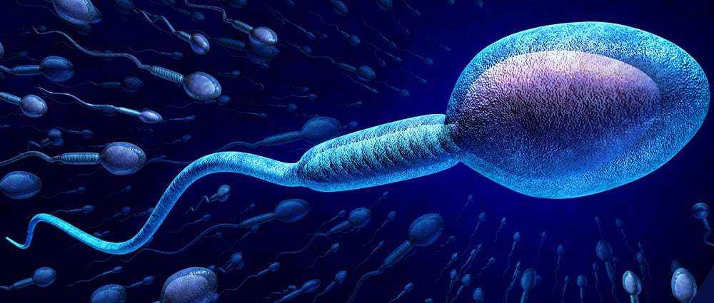 calidad-del-semen-1-min