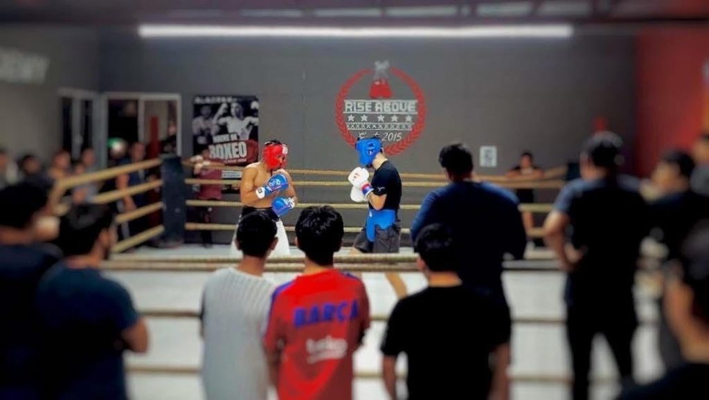 habrátorneo regional de Box-min