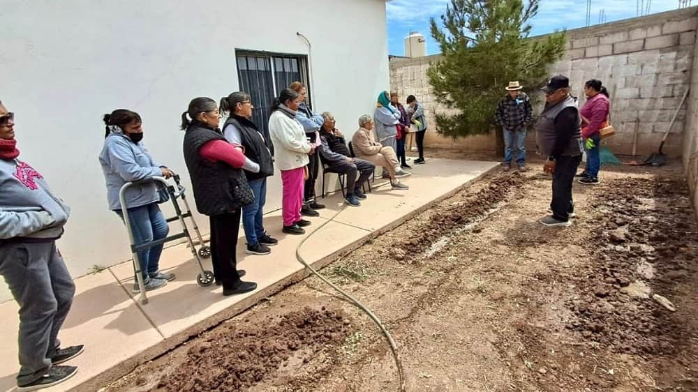 registro en convocatoria del programa Fomentando el Envejecimiento Activo ISAAM-min