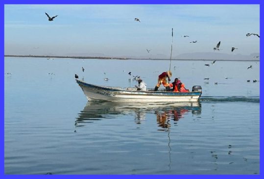 pescadores sonora