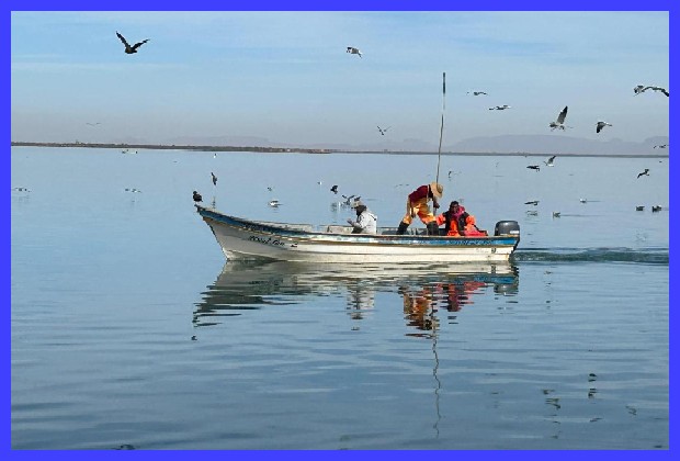 pescadores sonora