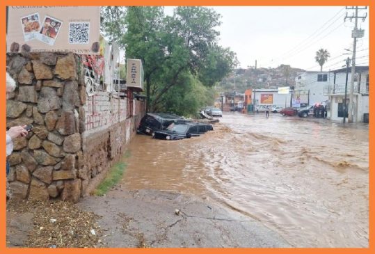 tormenta nogales
