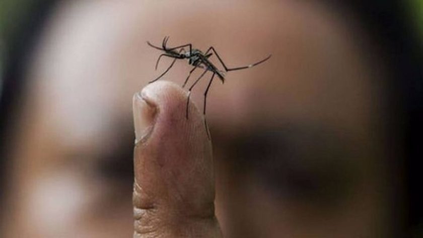 Chikungunya-min