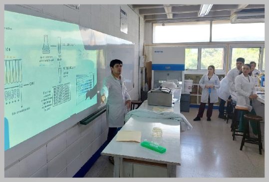academicos unison en honduras