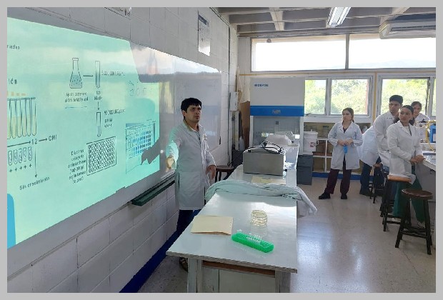 academicos unison en honduras