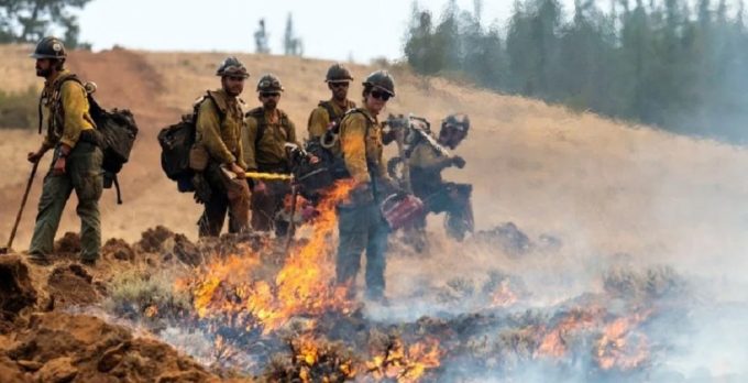 bomberos-que-combatian-incendio-en-washington-son-arrestados-por-agentes-migratorios-min