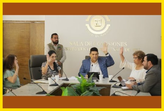 congreso ley poder judicial