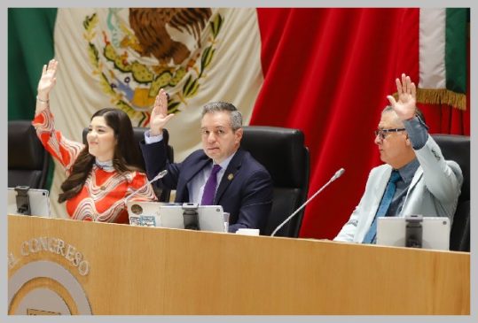 dip permcongreso son