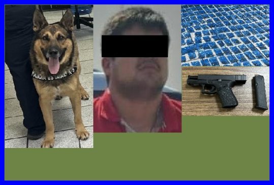 drogas hmo k9