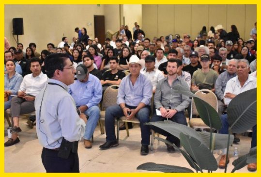 foro diversificación