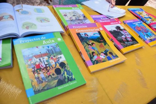 libros de primaria ya distribuidos-min