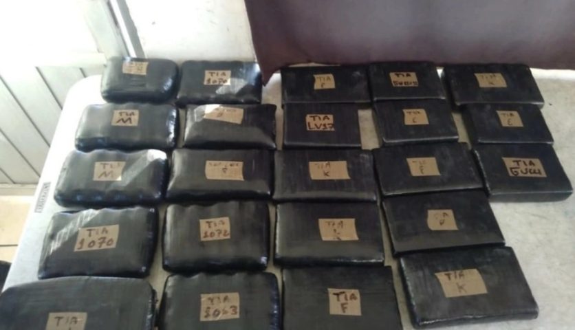 Droga incutada en Sonora-min