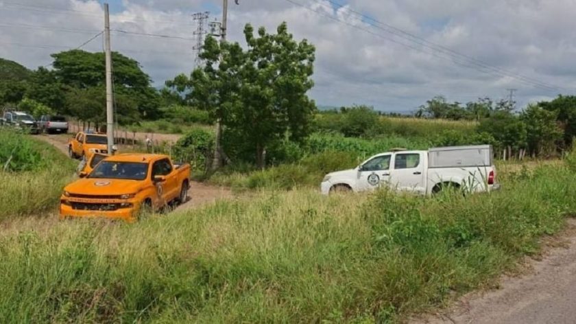 abejas atacando a la población-min (1)