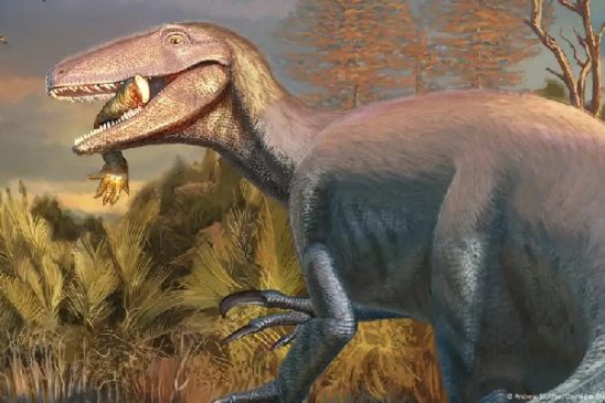 dinosaurio
