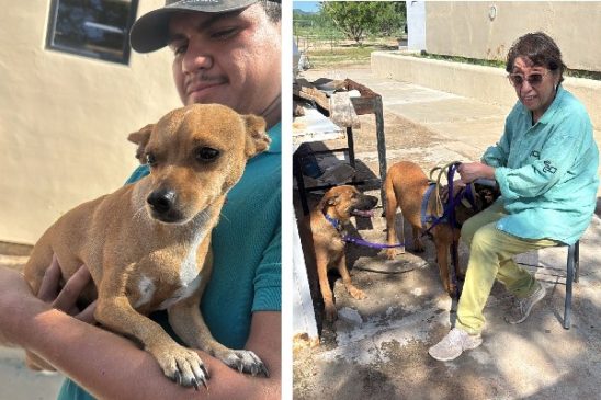 jornada canina hmo