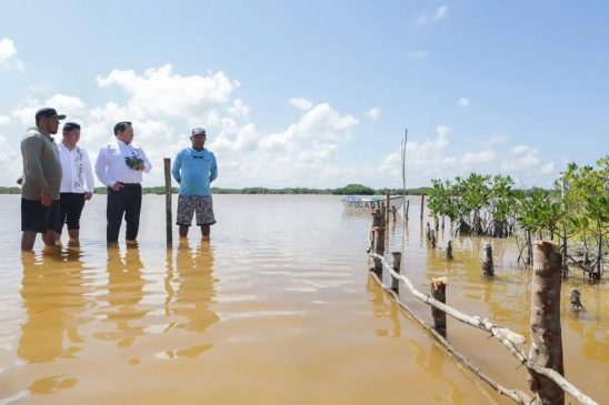 Lanzan estrategia para restaurar humedales costeros-min