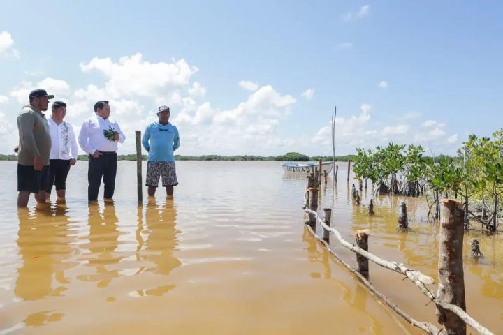 Lanzan estrategia para restaurar humedales costeros-min