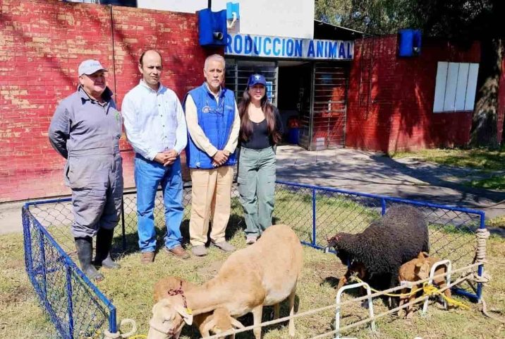 Presenta Universidad de Chapingo resultados de investigación con embriones-min