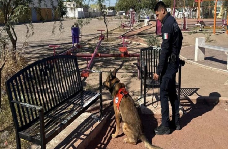 asegurando droga-min