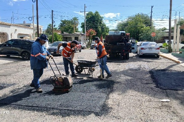 bacheo hmo