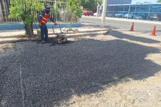 bacheo hmo