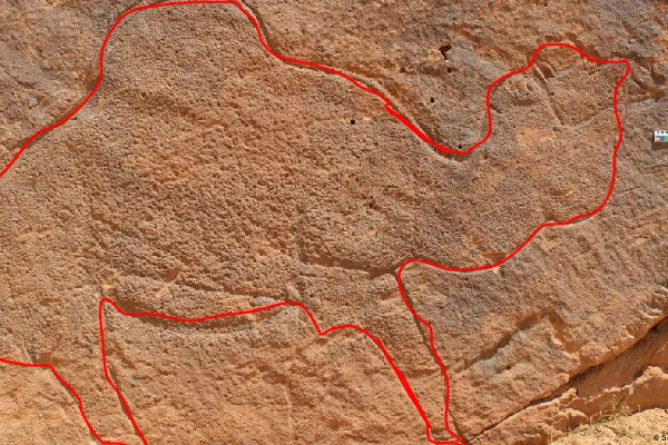 camello gigante