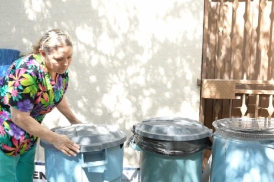 combate dengue