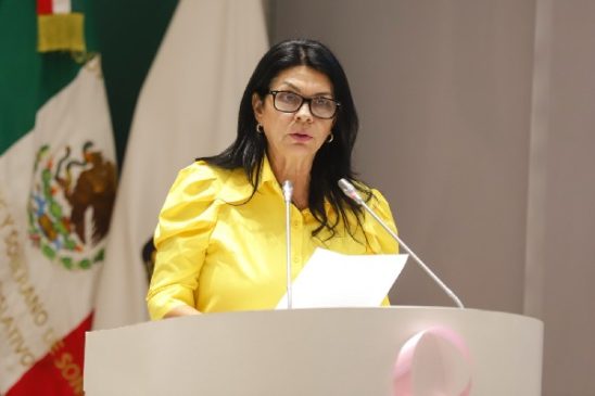 ernestina castro