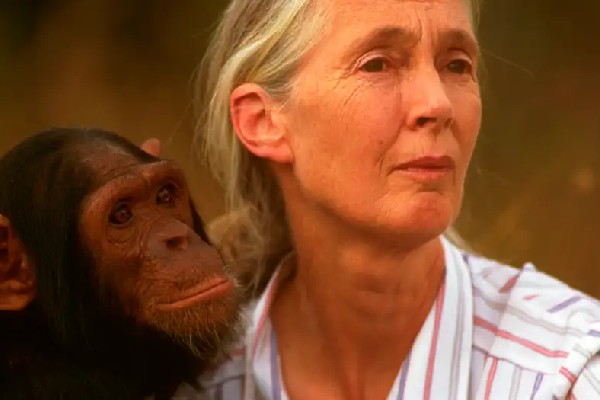 jane goodall