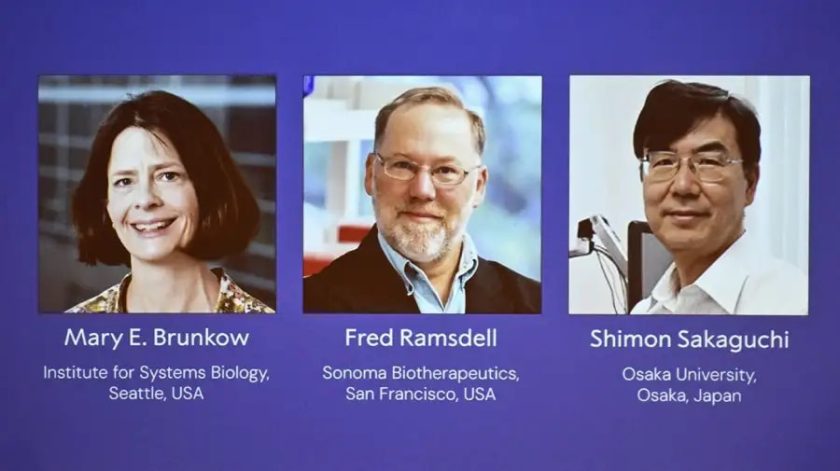 premio-nobel-de-medicina 2025-min