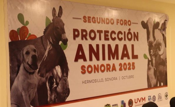 protección animal-min