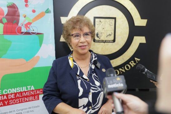rebeca irene silva gallardo