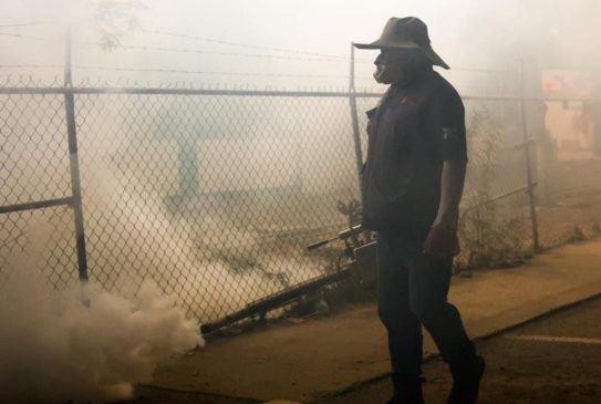dengue fumigación-min