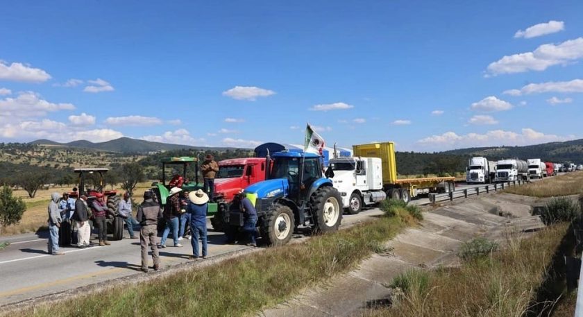 descarta-sheinbaum-dar-mas-apoyos-a-productores-de-maiz-que-mantienen-min